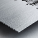 Nice France Skyline Metal print