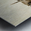 Washington DC Skyline Metal print