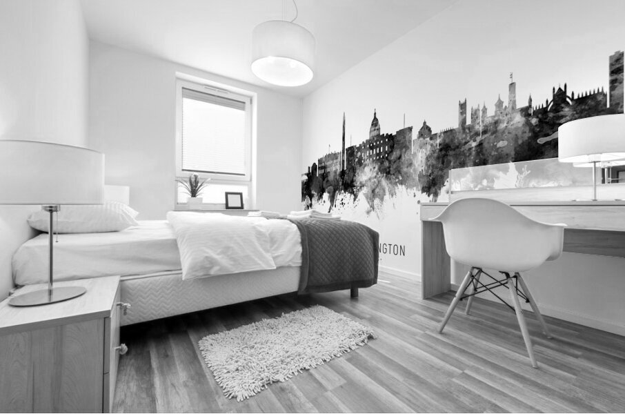 Washington DC Skyline Mural print
