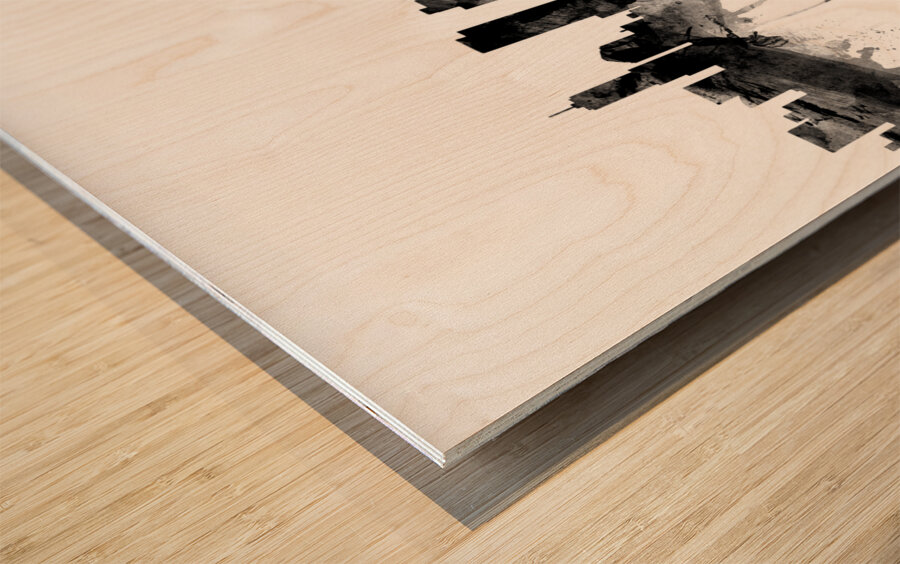 Denver Colorado Skyline Wood print