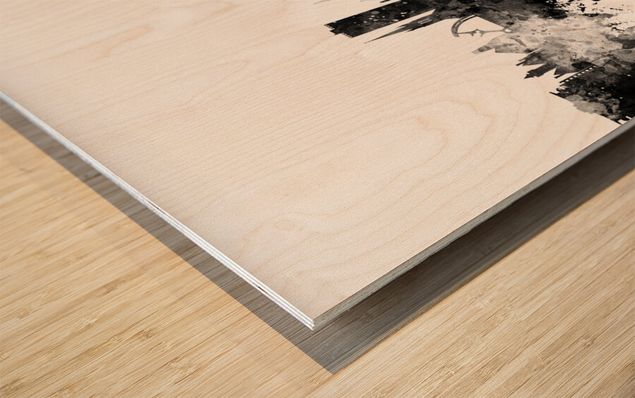 Lincoln England Skyline Wood print