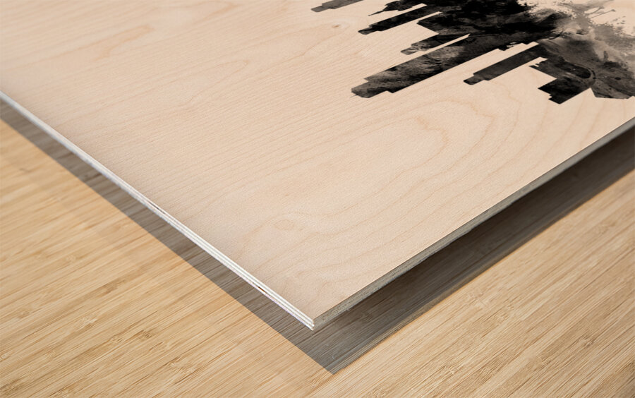 Albany New York Skyline Wood print