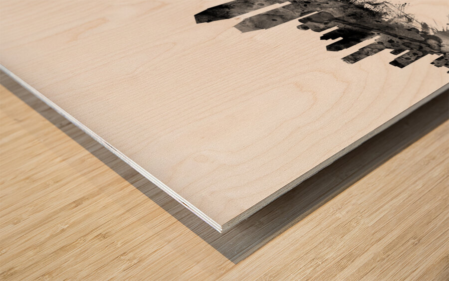 San Diego California Skyline Wood print