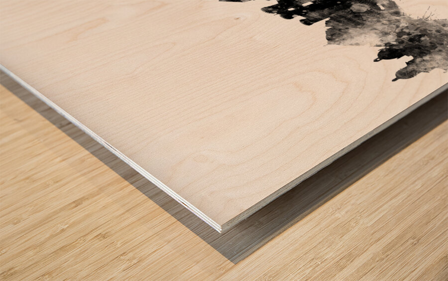 Naples Italy Skyline Wood print