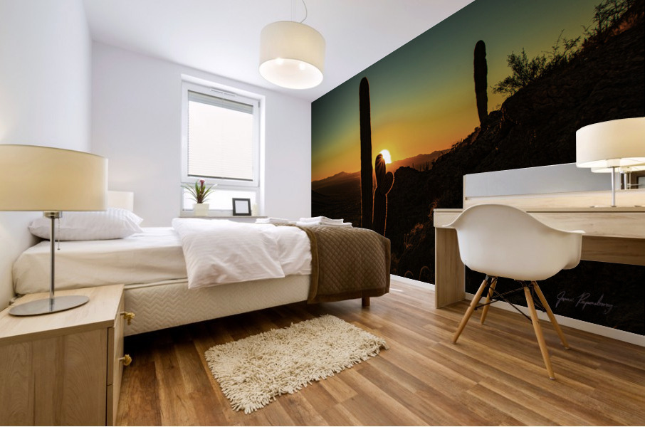 Gates Pass Sunset Mural print