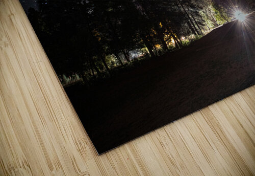 Payson Star Gazing James Rupersburg puzzle