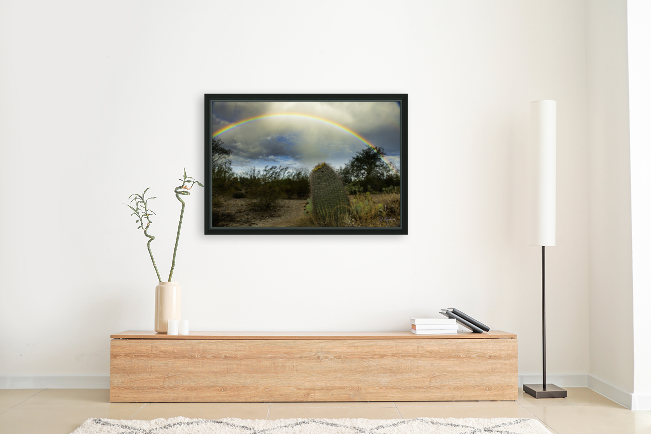 Barrel Cactus Rainbow Reproduction