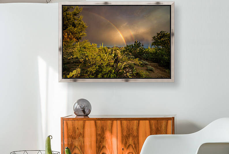 Rainbow over Saguaro National by James Rupersburg
