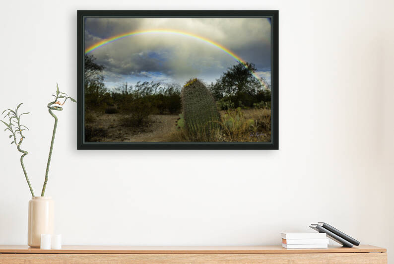 Barrel Cactus Rainbow by James Rupersburg