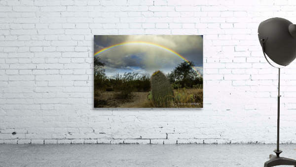 Barrel Cactus Rainbow Wall Preview