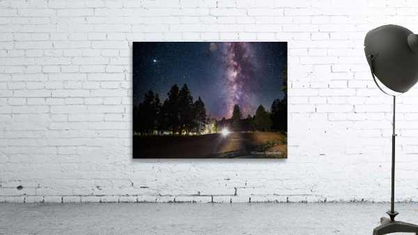 Payson Star Gazing Wall Preview