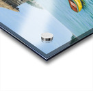 Dees Dory Acrylic print