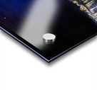 Buoyed Acrylic print