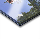 Wallace by the Sea Acrylic print