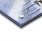 Nostalga - Winter Sleigh Ride Acrylic print