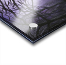 Drawn to the Light Acrylic print