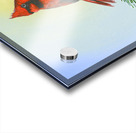 Cardinal  Acrylic print