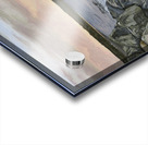 Equanimity Acrylic print