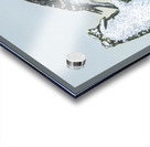 Downy Woodpecker Acrylic print