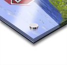 No Mow May 4  Acrylic print