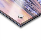 Wish you were here  Acrylic print