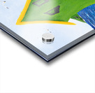 On the Rocks Acrylic print