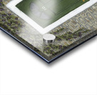 No. 10 Acrylic print