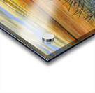 Days End Acrylic print