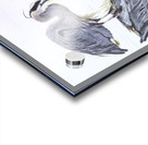 On Reflection Acrylic print