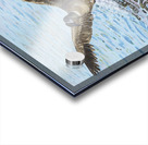 Making a Splash Acrylic print