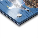 A cruise you said  Acrylic print