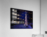 Buoyed Acrylic Print