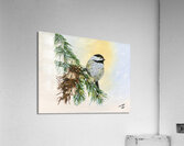 Christmas Chikadee Acrylic Print