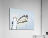 Downy Woodpecker Acrylic Print
