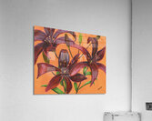 Lily Burst  Impression acrylique