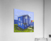 No Mow May 1  Acrylic Print