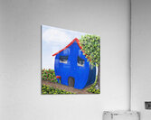 Just Snoozin  Acrylic Print