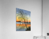 Shimmer Acrylic Print