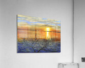 Days End Acrylic Print