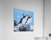 Whats for Dinner Acrylic Print