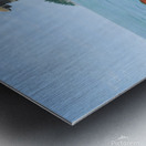 Dees Dory Metal print