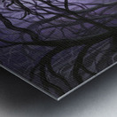 Drawn to the Light Metal print