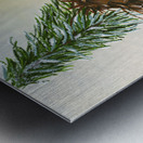 Christmas Chikadee Metal print