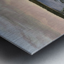 Equanimity Metal print