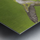 Humming Bird  Metal print