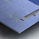 No Mow May 3  Metal print