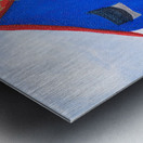 Just Snoozin  Metal print