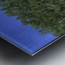 Seas the Day 2 Metal print