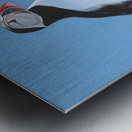 Whats for Dinner Metal print