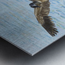 Making a Splash Metal print